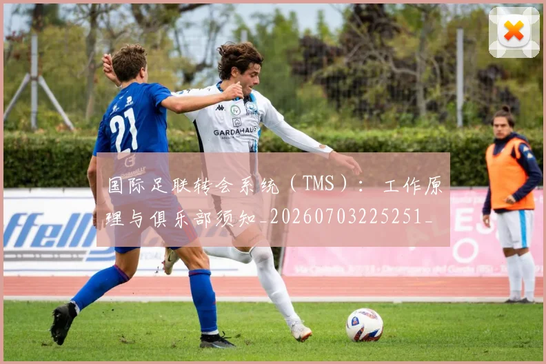 国际足联转会系统（TMS）：工作原理与俱乐部须知_20260703225251_20260719171005