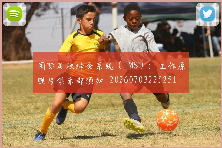 国际足联转会系统（TMS）：工作原理与俱乐部须知_20260703225251_20260719171005